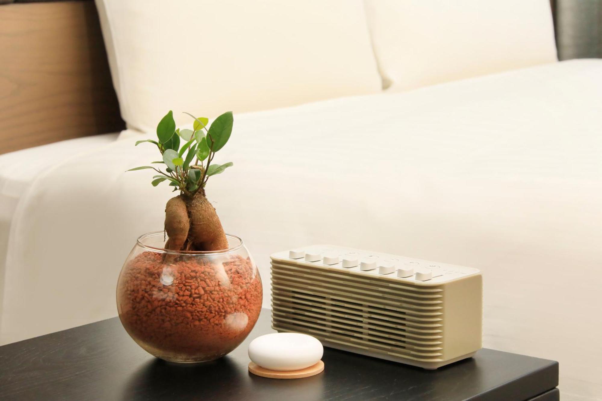 Quintessahotel Kagoshimatenmonkan Relax&Sleep מראה חיצוני תמונה